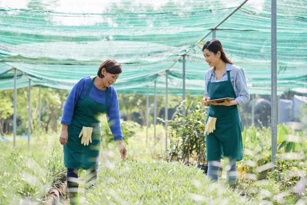 Two Green Job Workers are on a green farm