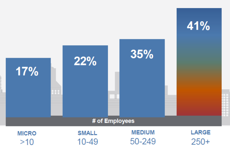 Organisational Size Hiring Graphic