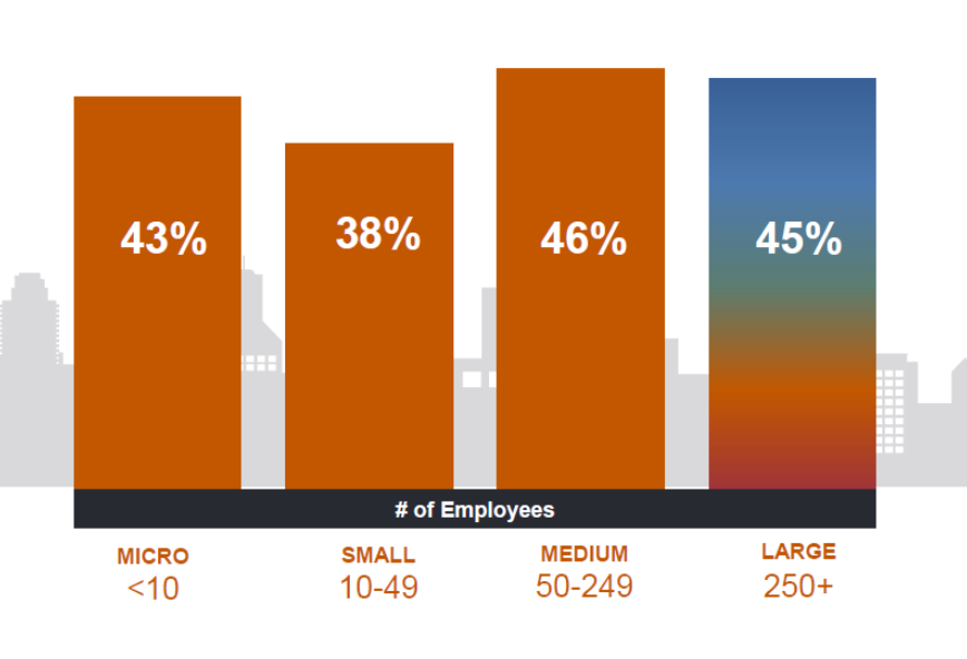 Company Size Hiring Graphic Q3 2022