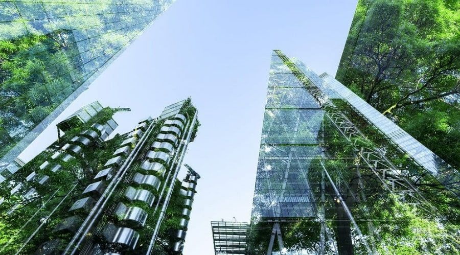 Demand for Green Skills Grows as Companies Strive to Achieve Sustainability Goals